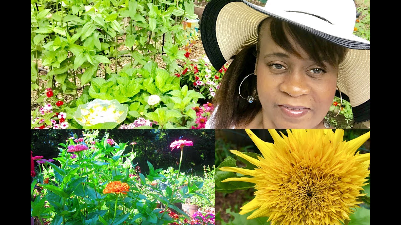 Spring Garden Tour #sunflowerchallenge2018