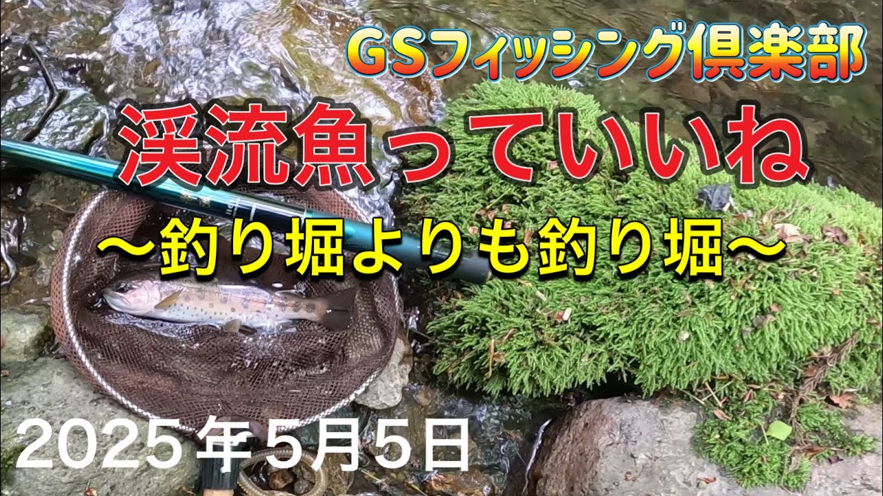《渓流釣り》渓流魚っていいね　釣り堀よりも釣り堀翠弧H61【Vol.31】GSフィッシング倶楽部