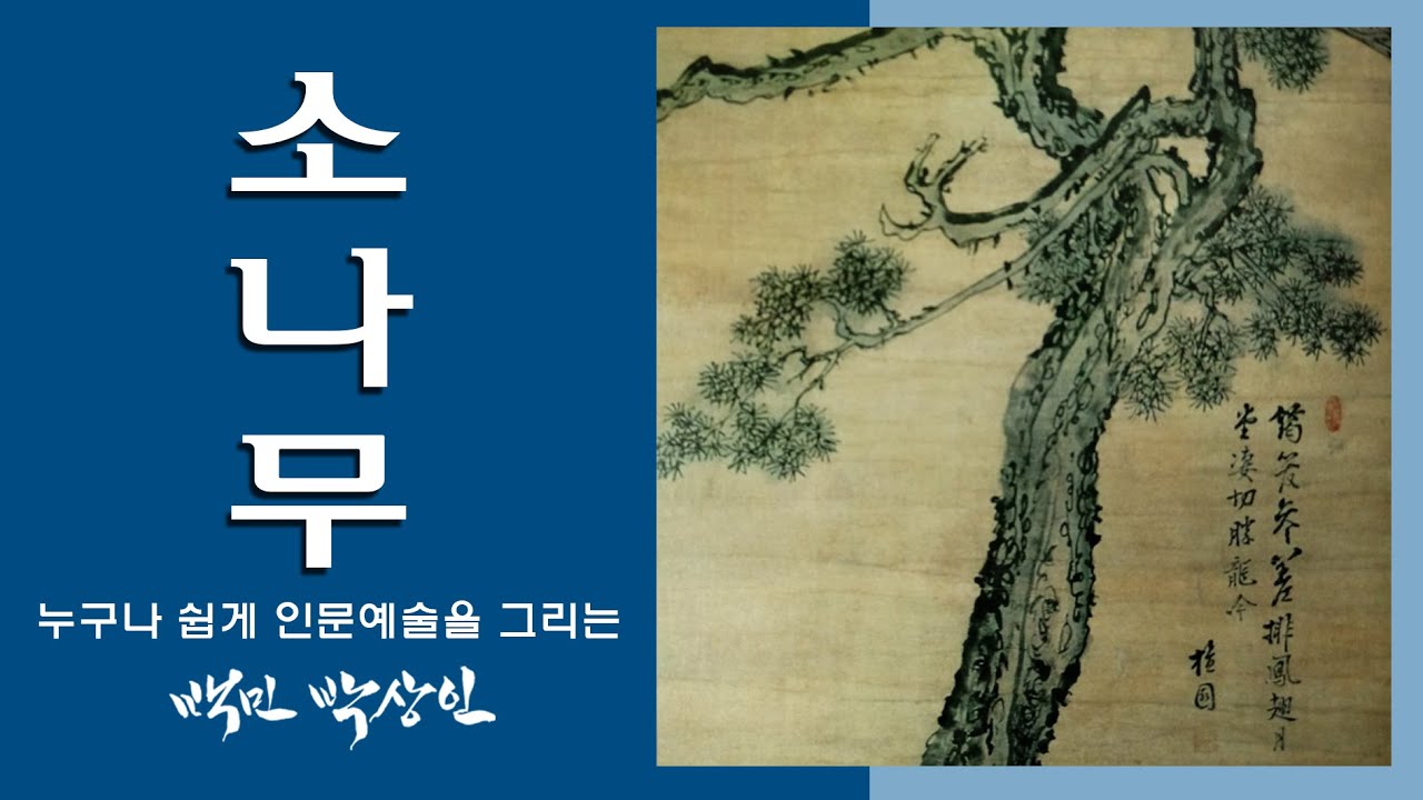 백민 박상인의 문인화교실 제 11회: 소나무 그리기