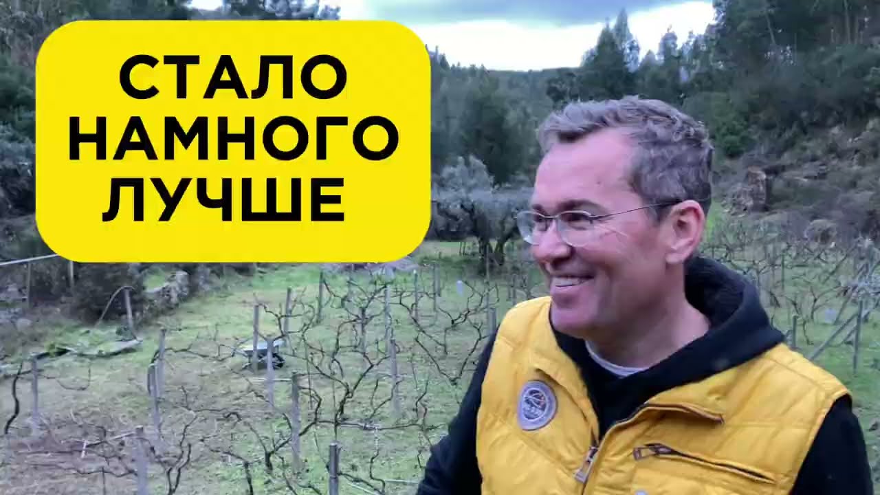 #22 Купил заброшенный  ДОМ в Португалии | Теперь можно выращивать вино!