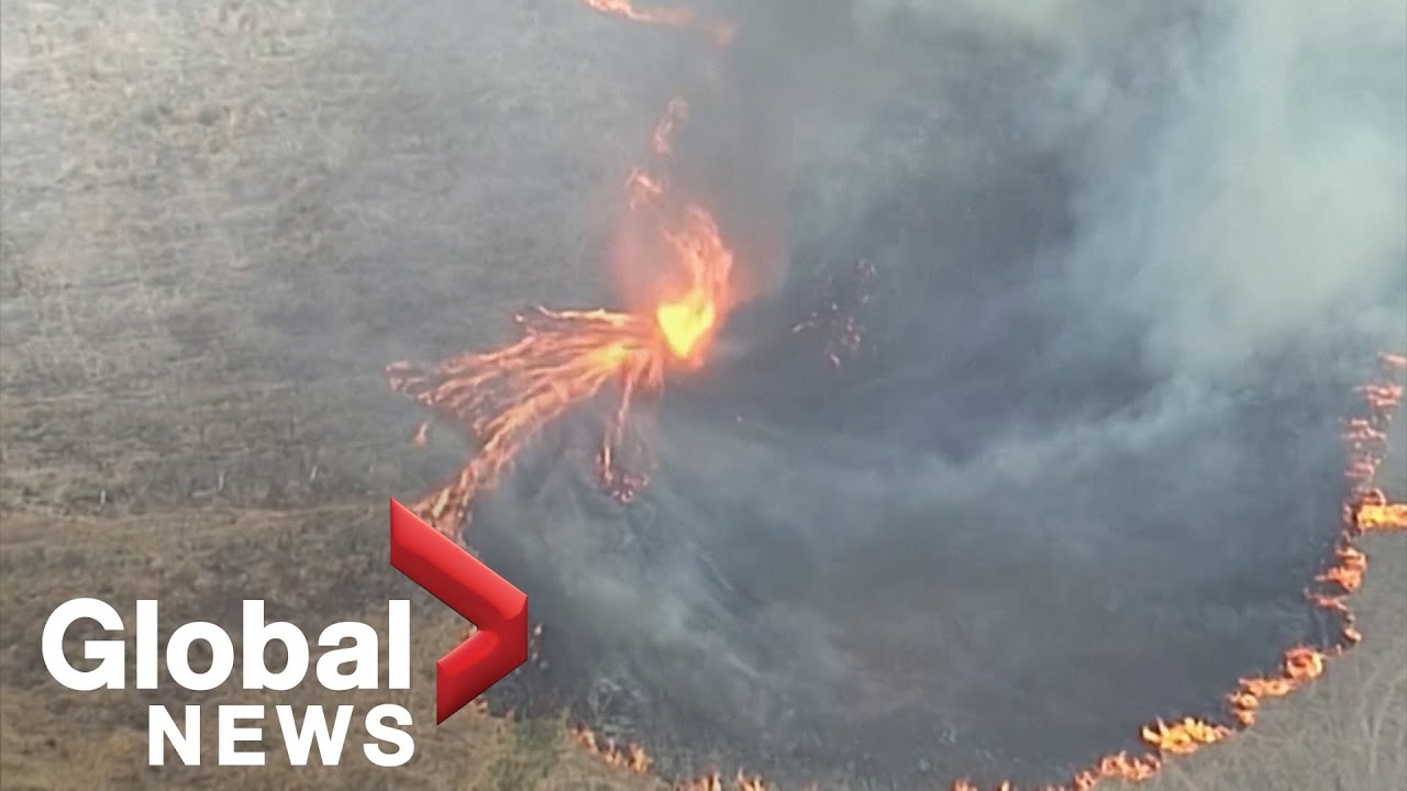 Australia wildfires: 