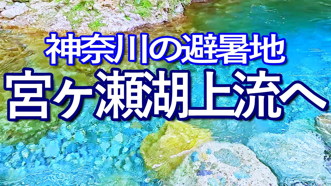神奈川ゆる旅　宮ヶ瀬湖上流に足を運び、山奥の避暑地の川で泳ぐ