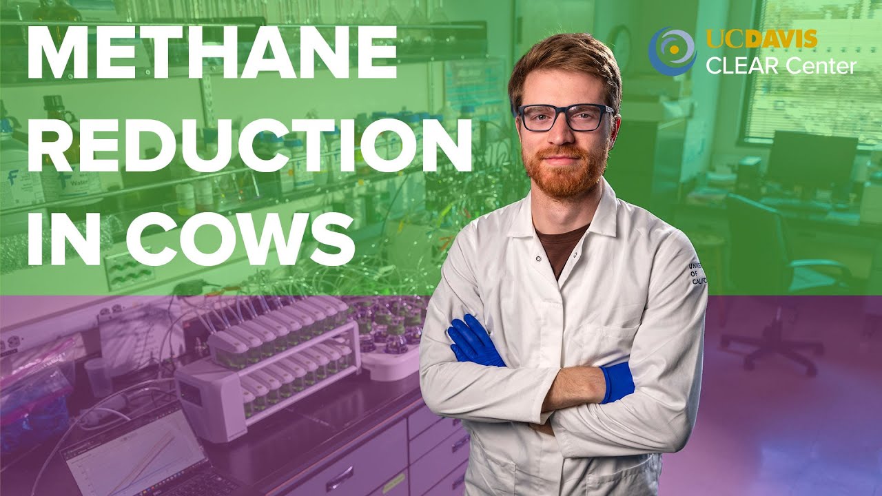 Does Bovaer Really Reduce METHANE Emissions in COW Manure?