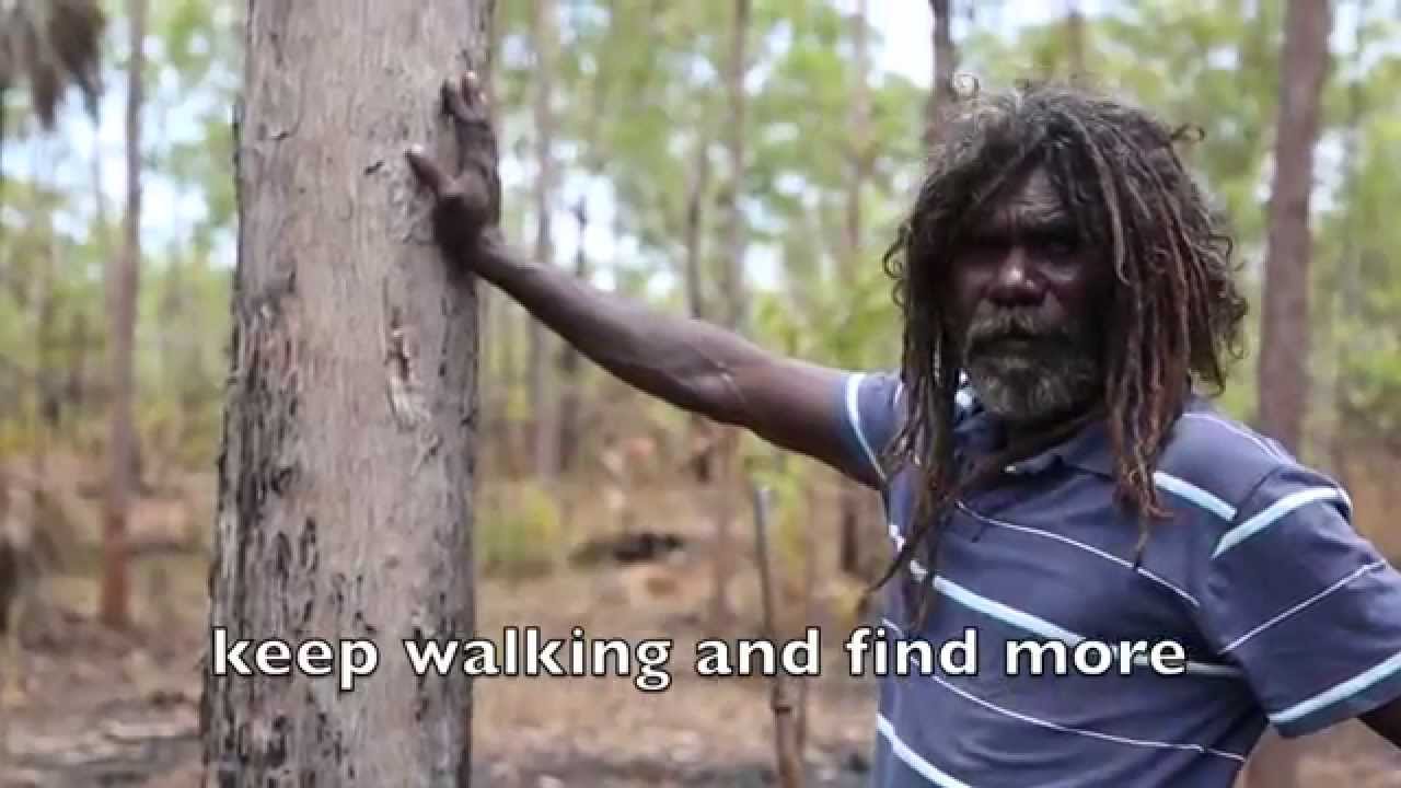 Hamish Garrgarrku - Maningrida Artist.