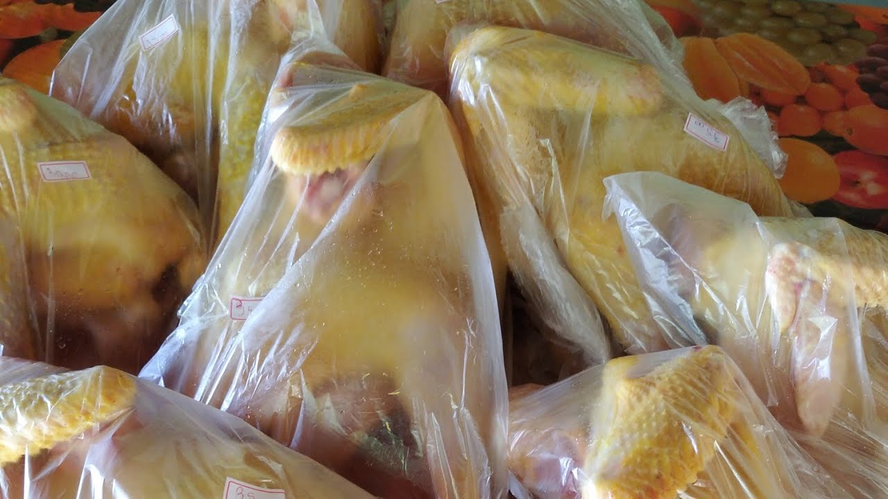 Criar galinha caipira da lucro? Minha criação como está🐓🐣🐤