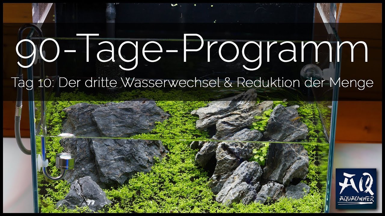 Tag 10 (Tropica 90-Tage-Programm): Dritter Wasserwechsel mit weniger Volumen | AquaOwner