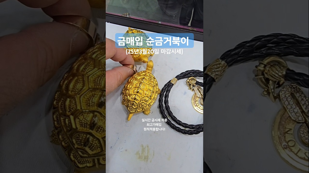 금매입 10돈 거북이 두쌍 가격 #금매입 #순금매입 #금가격 #금값 #서울보석