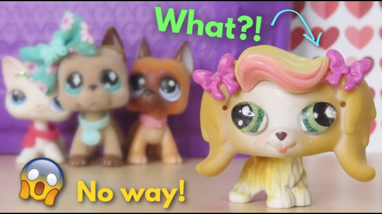 Opening a MYSTERY LPS package!