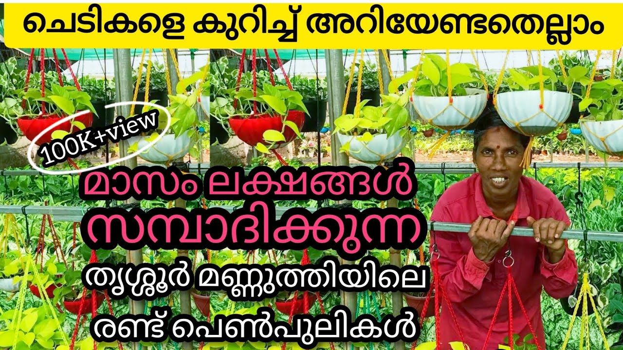 വീട്ടിലെചെടി വിറ്റ് ലക്ഷങ്ങൾ സമ്പാദിക്കാം | Garden Tips in Malayalam | mannuthy | flower pots making