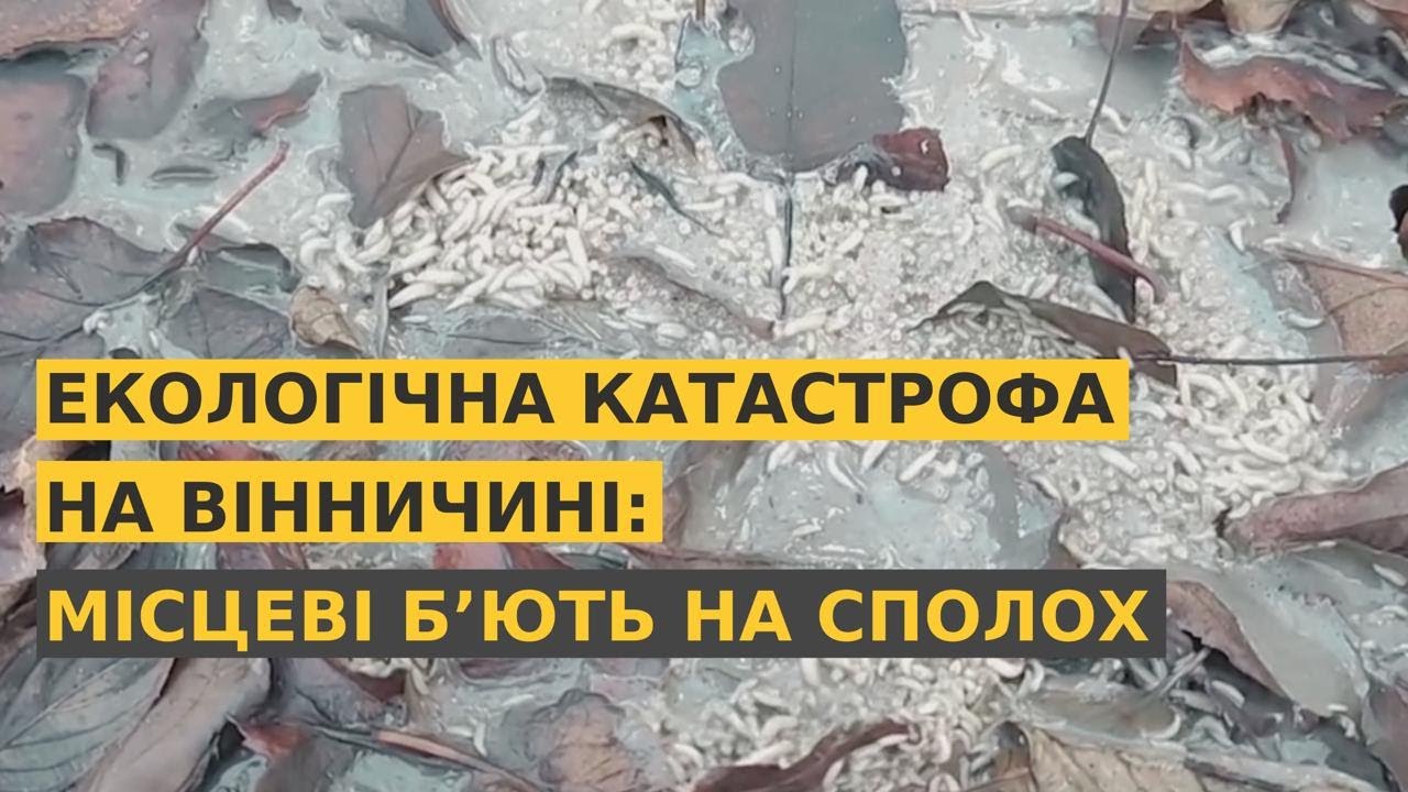 Екологічна катастрофа на Вінничині: місцеві бʼють на сполох | Під загрозою Крижопіль