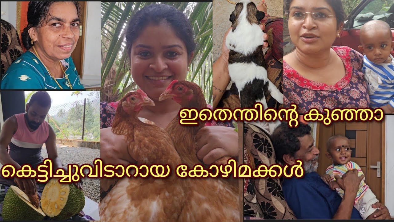 ദേ പിന്നേം സീതത്തോട്ടിൽ😎😎