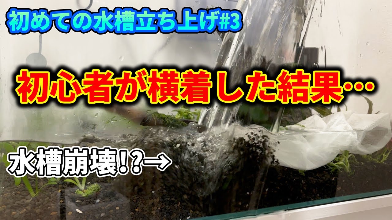 アクアリウム初心者が初めての注水で横着した結果…【初めての水槽立ち上げ】