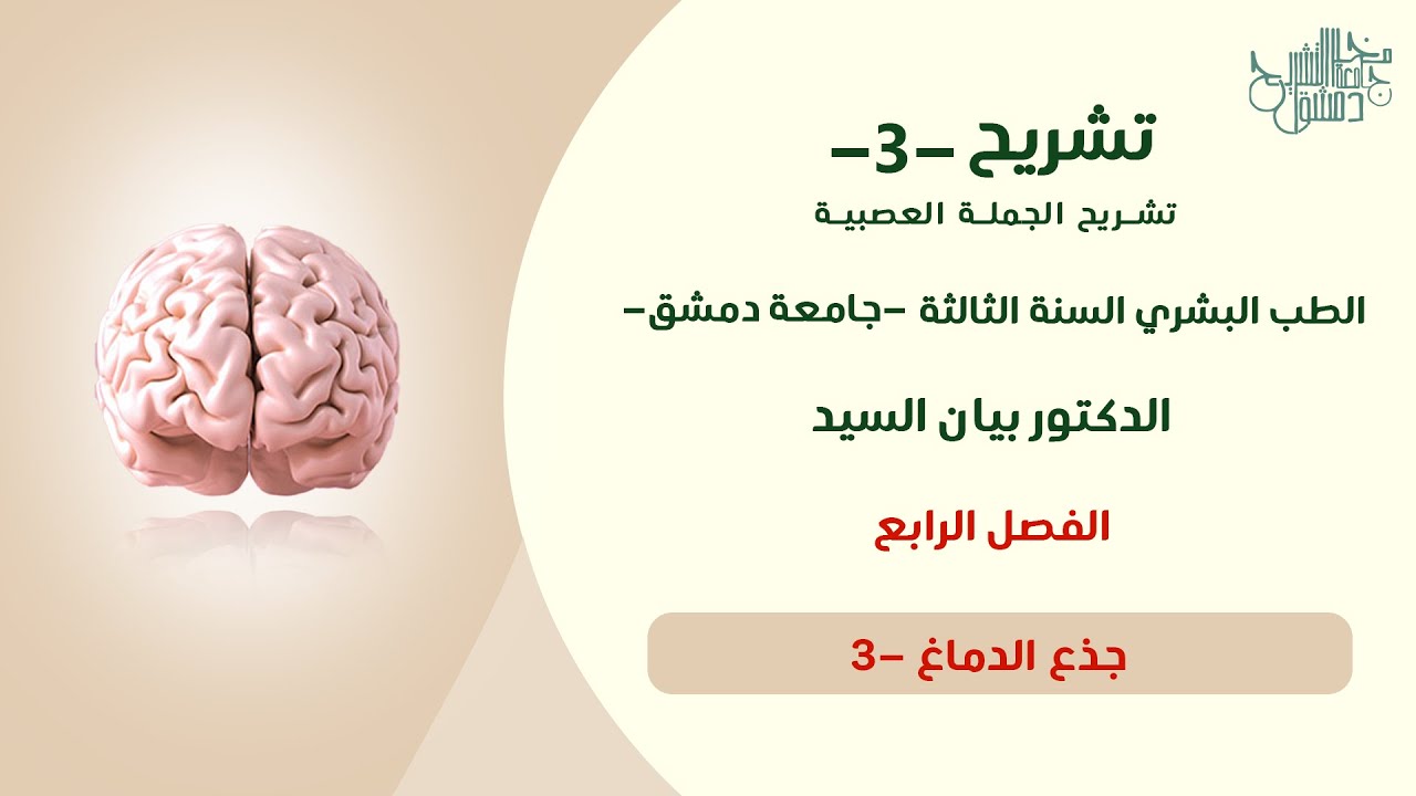تشريح 3 | جذع الدماغ -3 (الفصل الرابع) د.بيان السيد