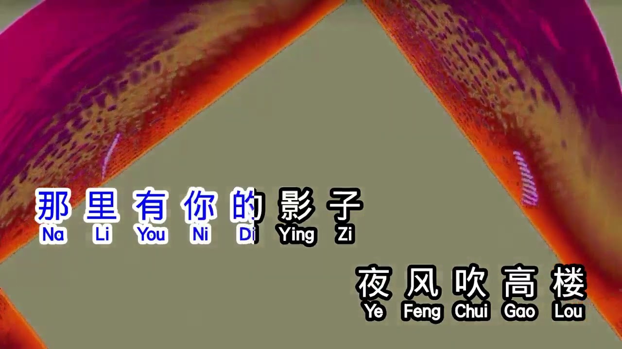 庄学忠   《 追梦 》  zhui meng