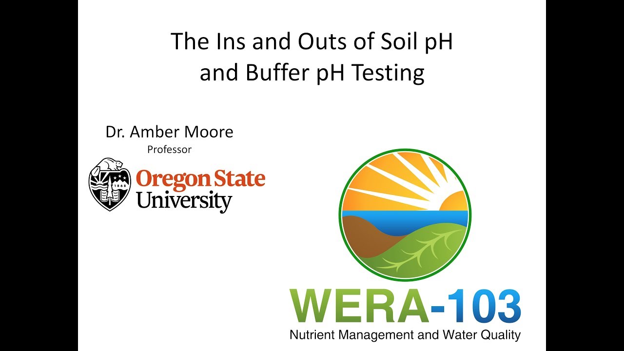 Dr. Amber Moore Soil pH and Buffer pH... Ins & Outs