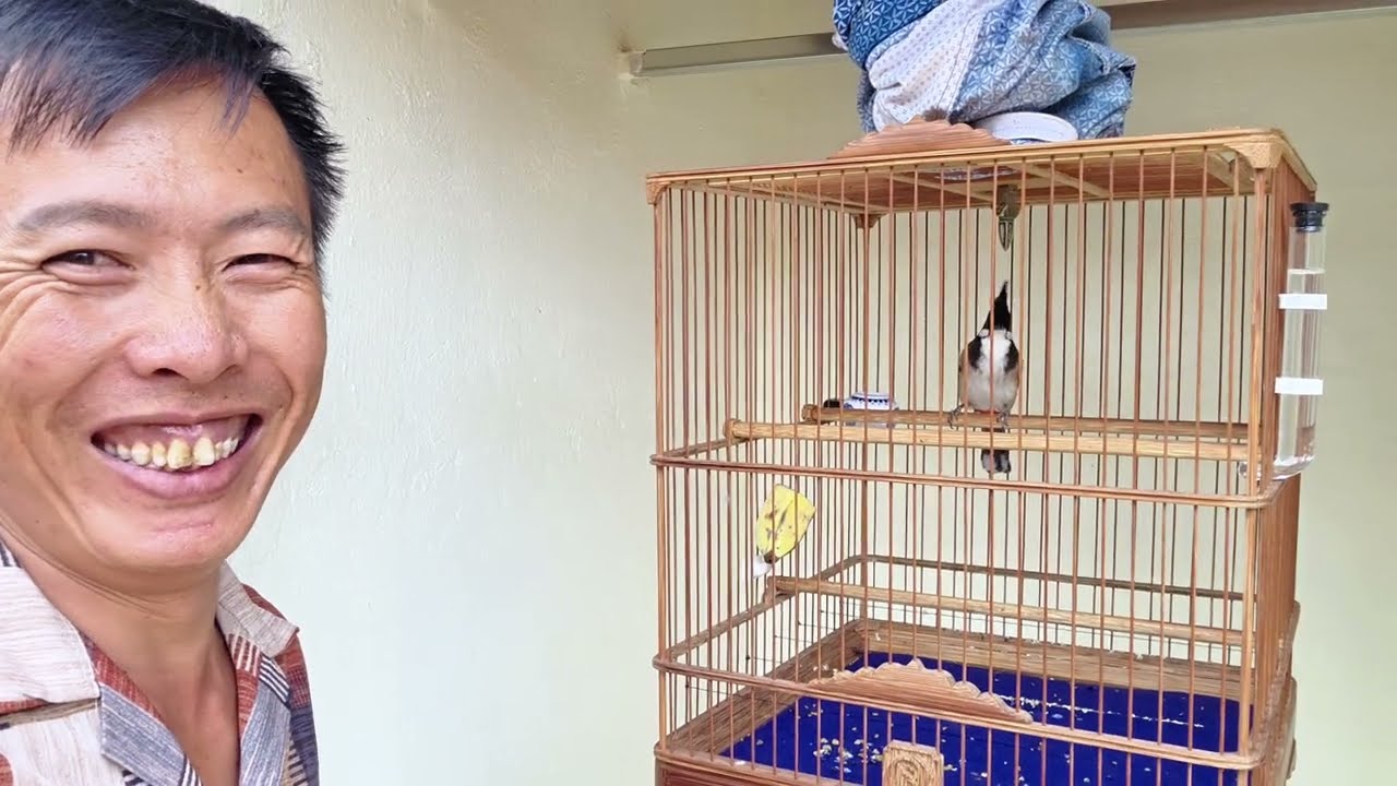 CH&Uacute; BỔI N&Agrave;Y THI KH&Ocirc;NG ĐẠT GIẢI M&Igrave;NH NGHỈ CHƠI CHIM
