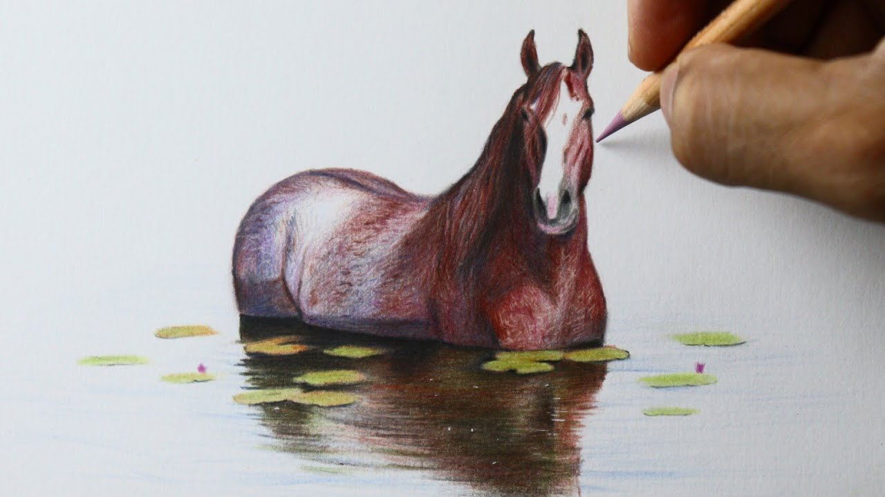 Como desenhar um Cavalo dentro da água