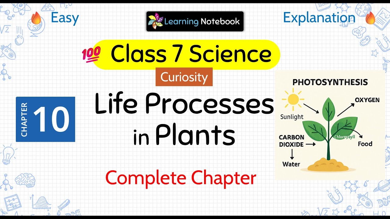 Class 7 Life Processes in Plants - Class 7 Science Curiosity Chapter 10
