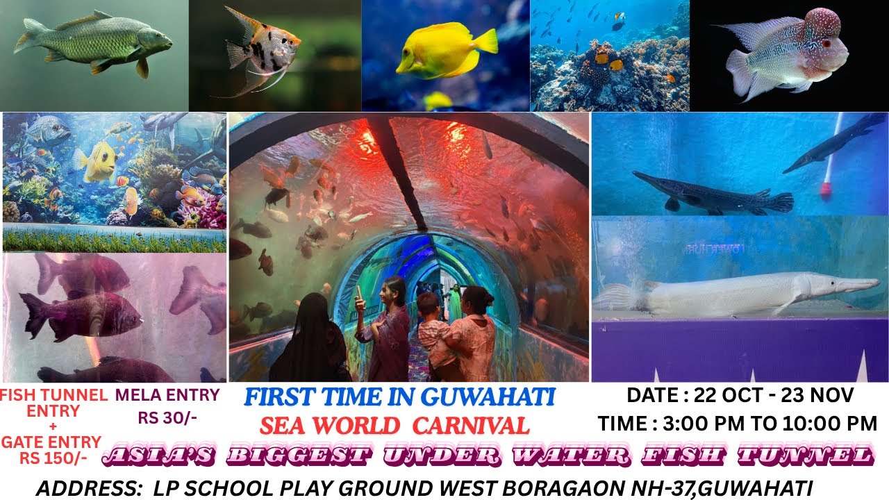 Sea world carnival#First time in Guwahati#Boragaon#Fish tunnel#assamesevlog#guwahati#assam