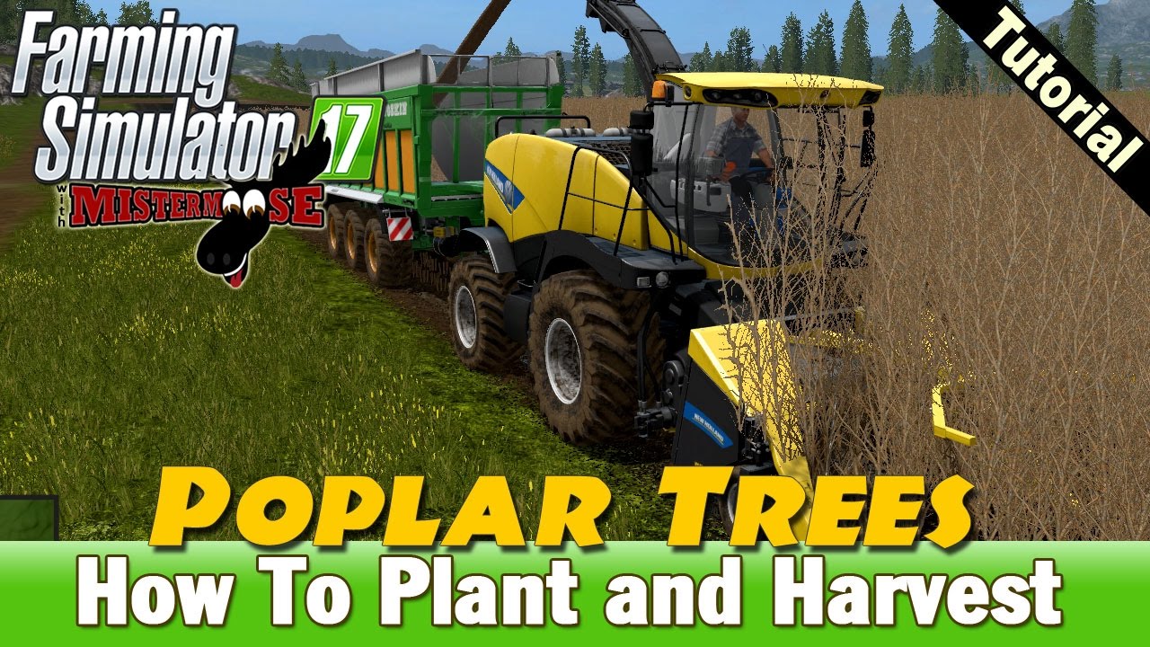 Farming Simulator 17 - How To Plant and Harvest Poplars