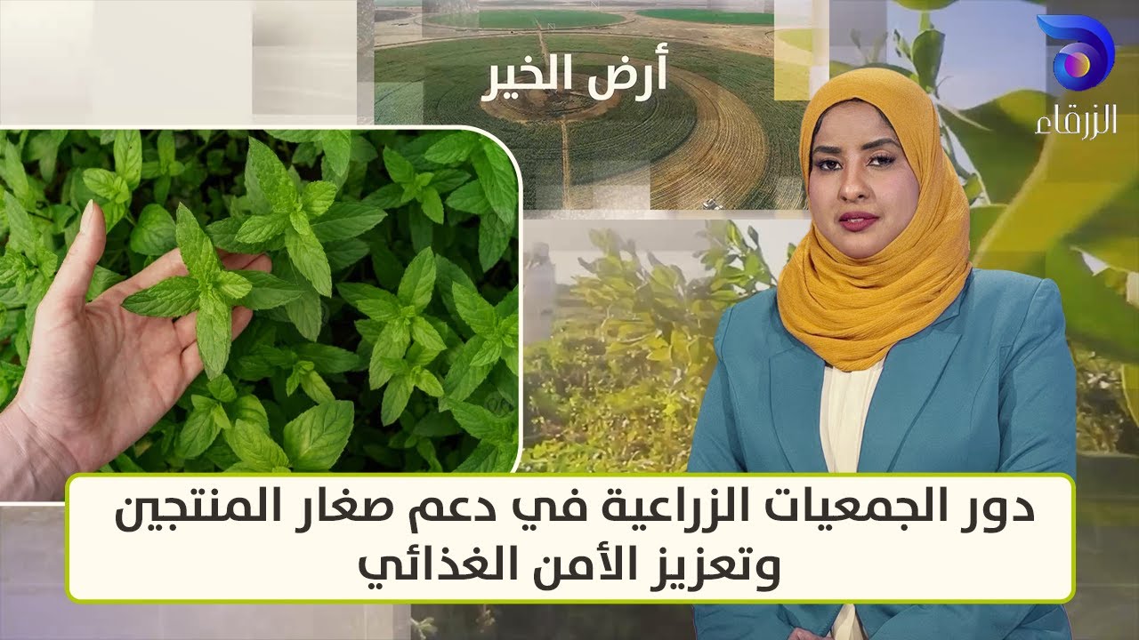 الجمعيات الزراعية ودورها في دعم صغار المنتجين وتعزيز الأمن الغذائي في السودان || أرض الخير