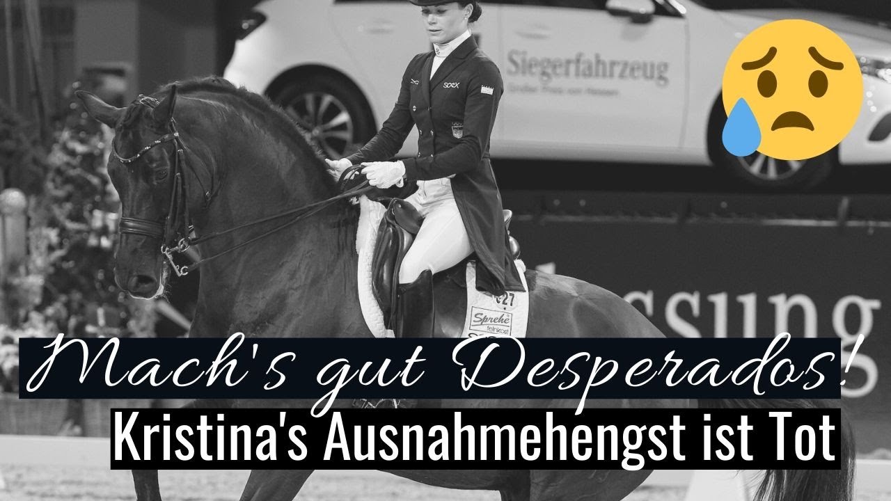 Desperados ist tot 😢 | Der Ausnahmehengst von Kristina Bröring-Sprehe | Mit 19 Jahren 🌈