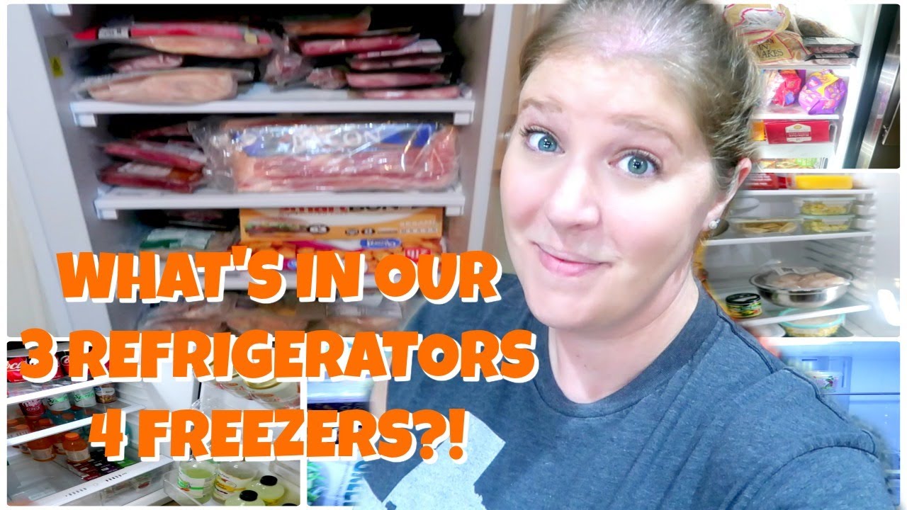 FRIDGE & FREEZER CLEAN OUT | INVENTORY AND ORGANIZATION
