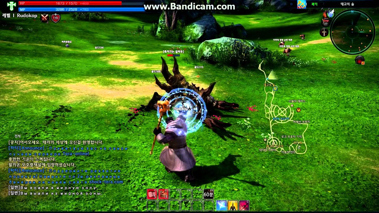 Tera gameplay HD 1080p | Tera геймплей обзор 1080p