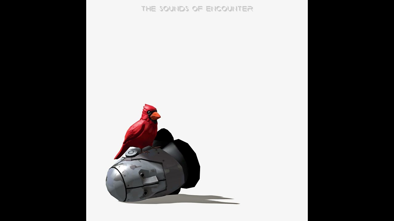 Digital Divination (The Sounds of Encounter)