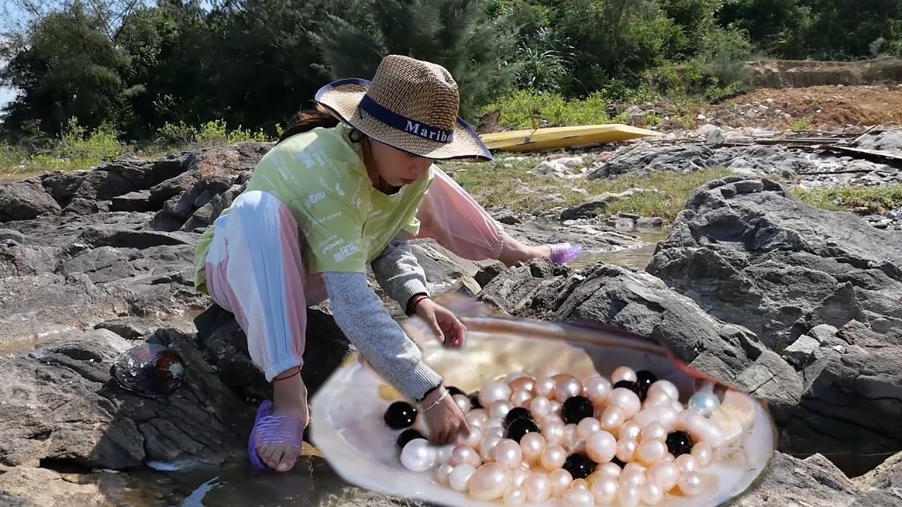 Just in time, they harvested many beautiful pearls.