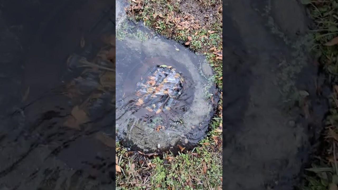 Draining flooded parking lot. Huge whirlpool ! #drain #cloggeddrain #floodedareas