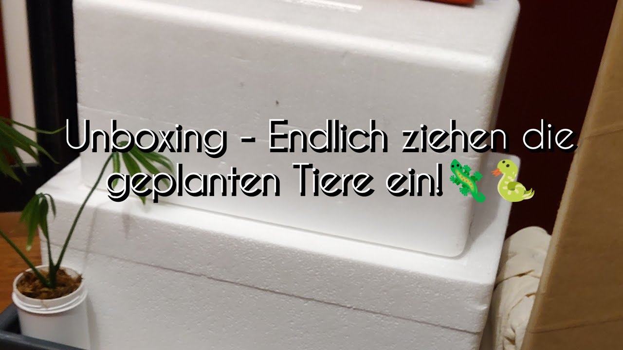 Unboxing - Endlich ziehen die geplanten Tiere ein!