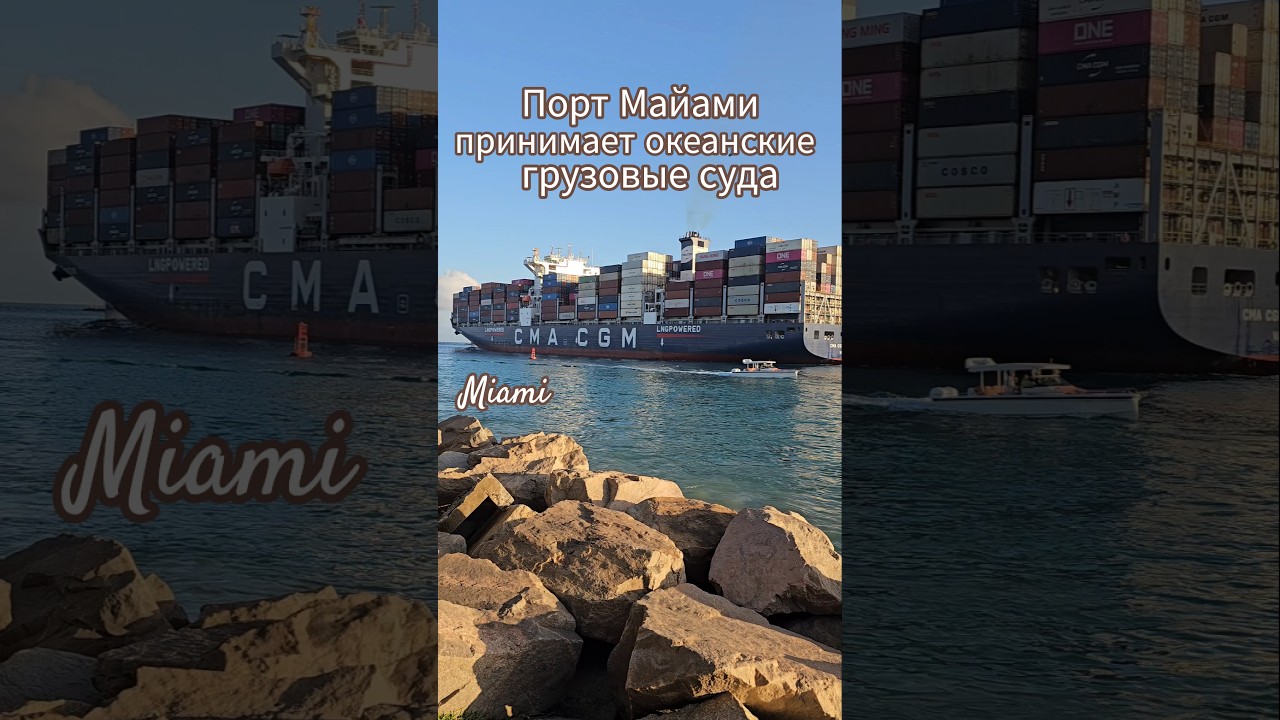 Порт Майами принимает океанские грузовые суда #miami #cruiseship #4k #umarkeyn