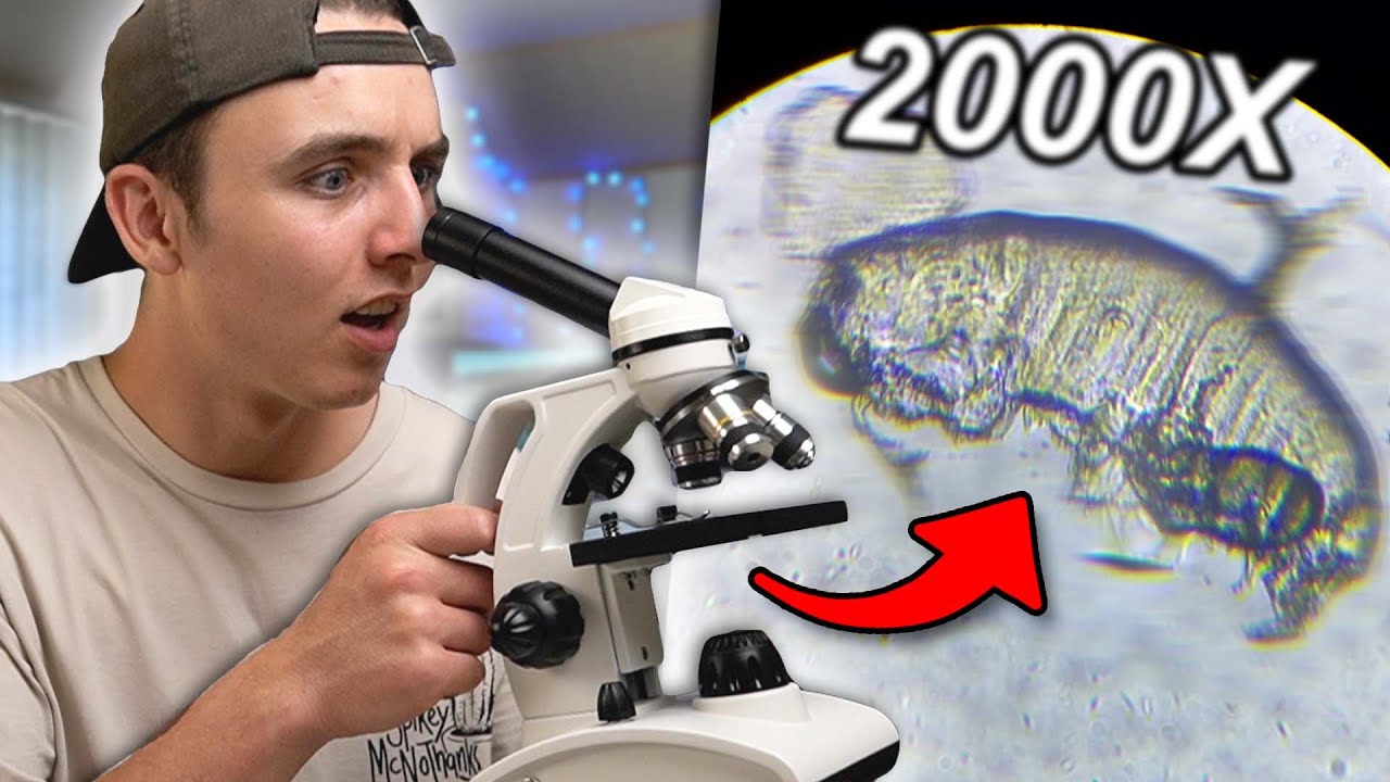 My Drinking Water Under a Microscope
