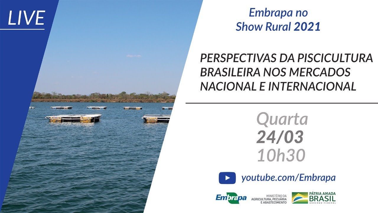 Perspectivas da piscicultura brasileira nos mercados nacional e internacional