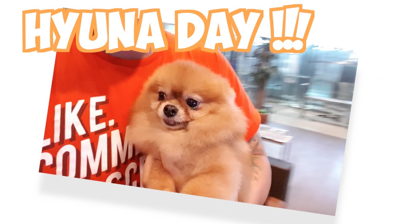 SEHARI BERSAMA HYUNA !!