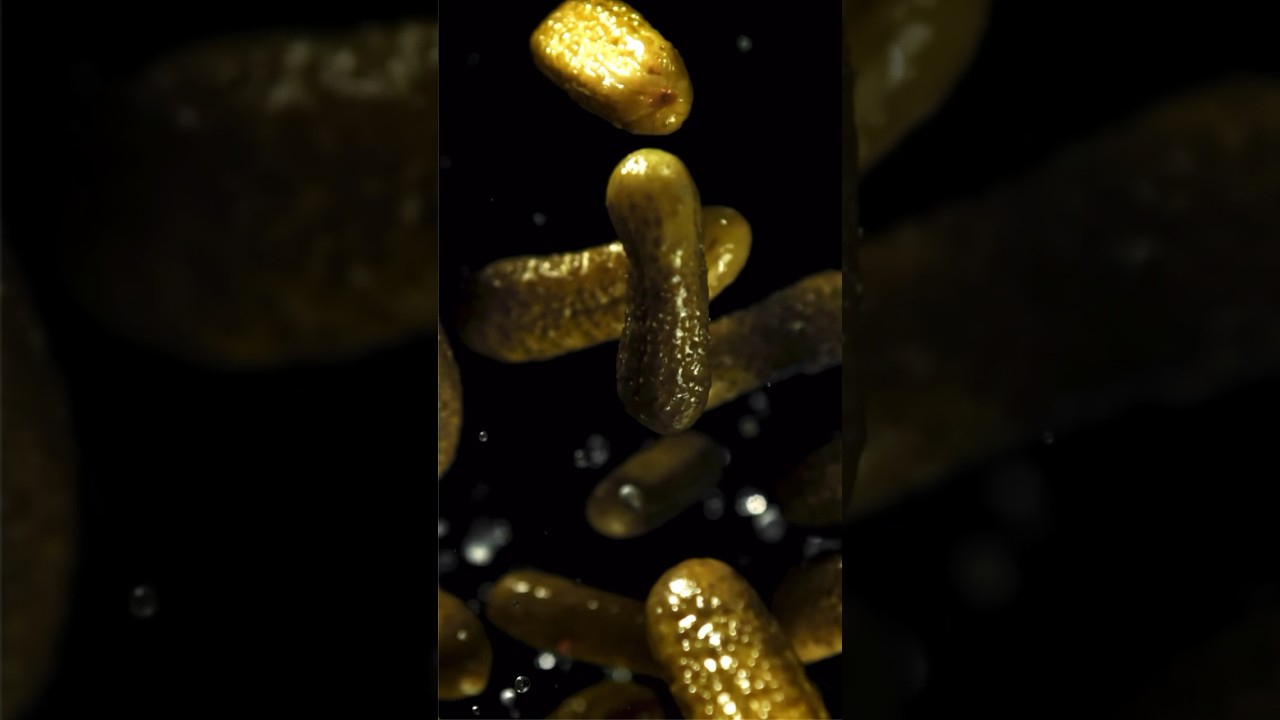Gherkins/Pickles. Why are they so great for your gut? #gherkin #pickle #pickles #food #foodfacts