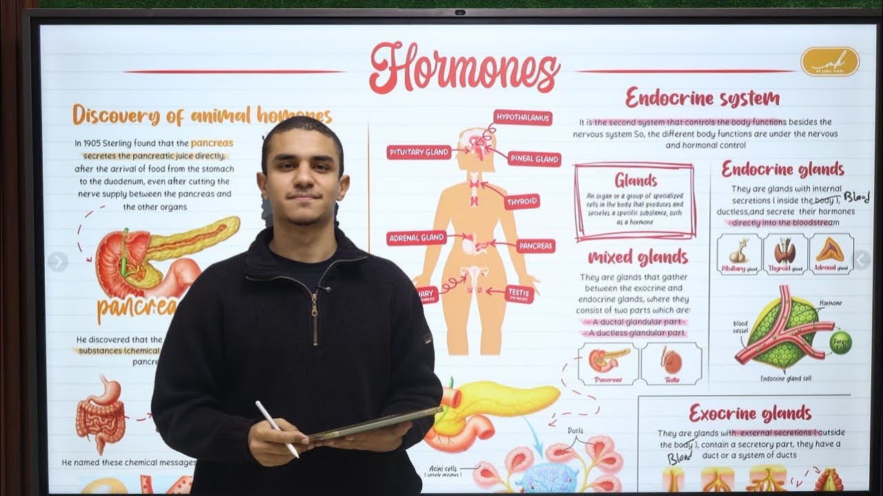 Biology Revision ch2 hormones part 1 مراجعة مادة البيولوجي للثانوية العامة المصرية 2026