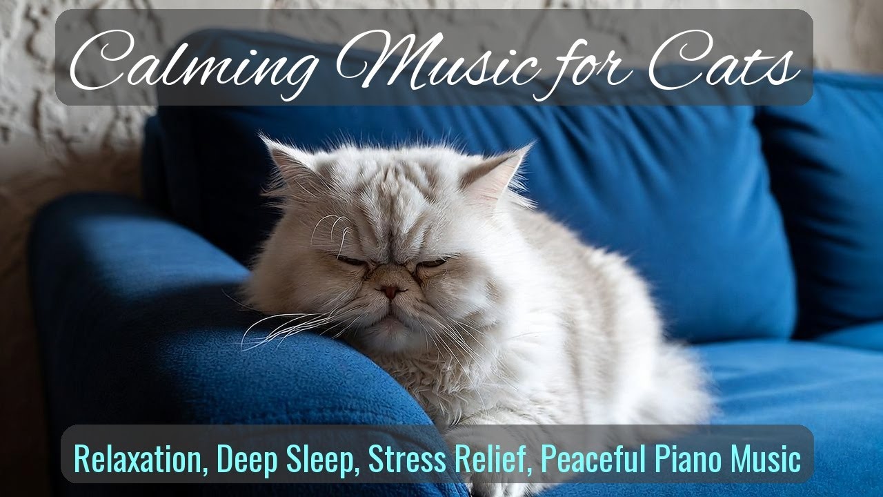 Calming Music for Cats - Relaxation, Deep Sleep, Stress Relief, Peaceful Piano Music | Season 55