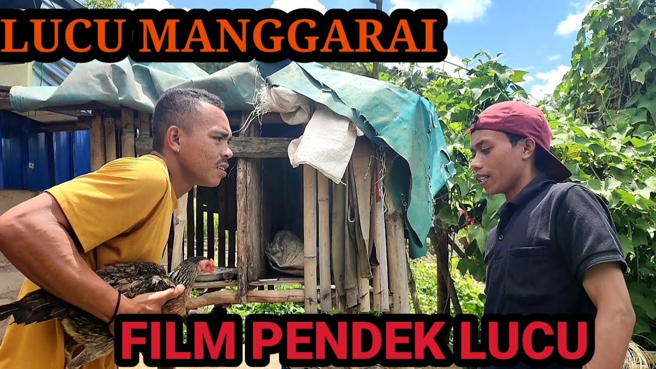 FILM PENDEK LUCU MANGGARAI|| BELI AYAM SENDIRI