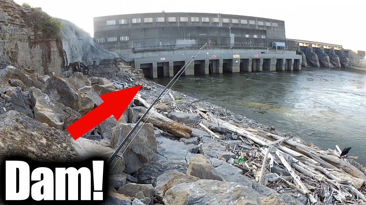 Beginner Fishing Lure - Fishing with Twister Tail Grubs Below a Dam!