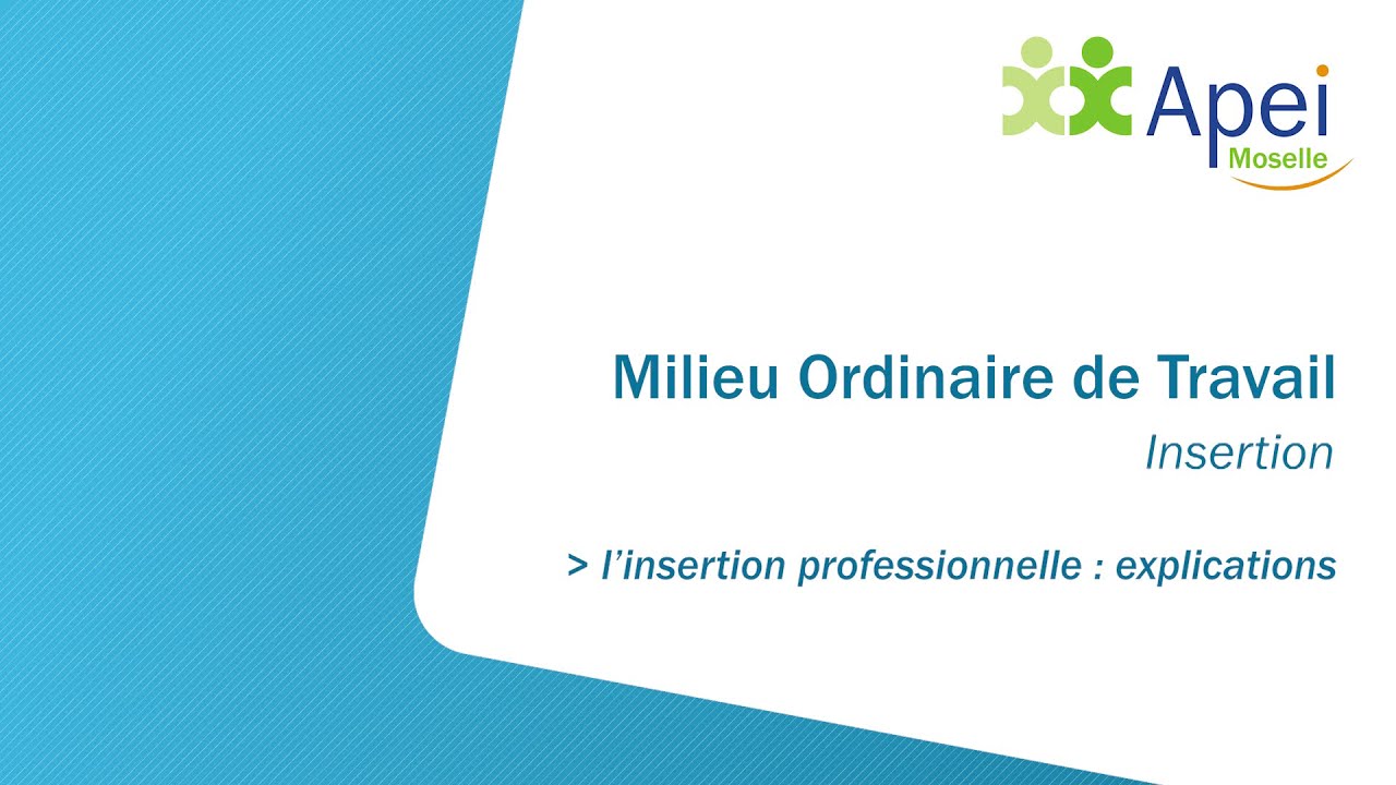 L'insertion professionnelle en Milieu Ordinaire de Travail