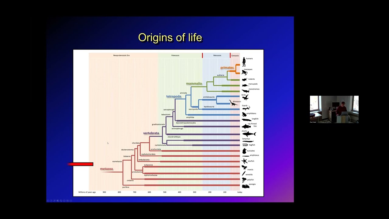 Rethinking behavior in the light of evolution - Paul Cisek (Université de Montréal)