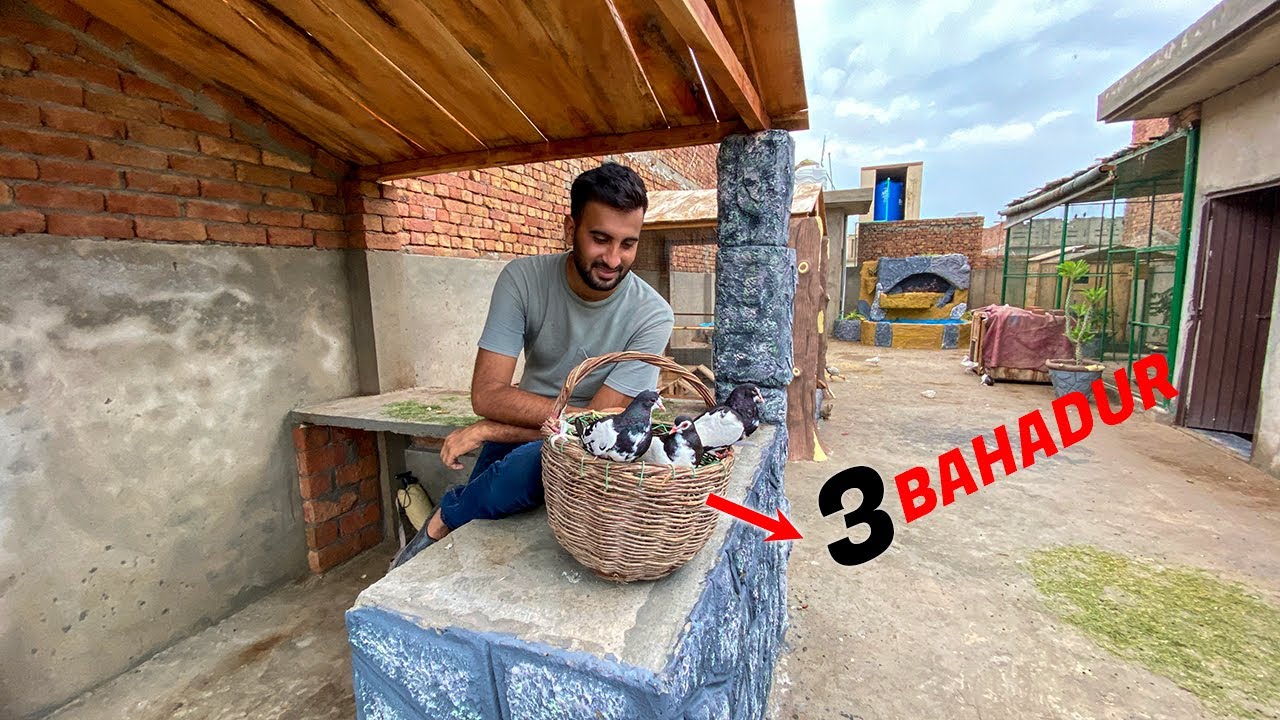 3 bahadur Le Leay😍