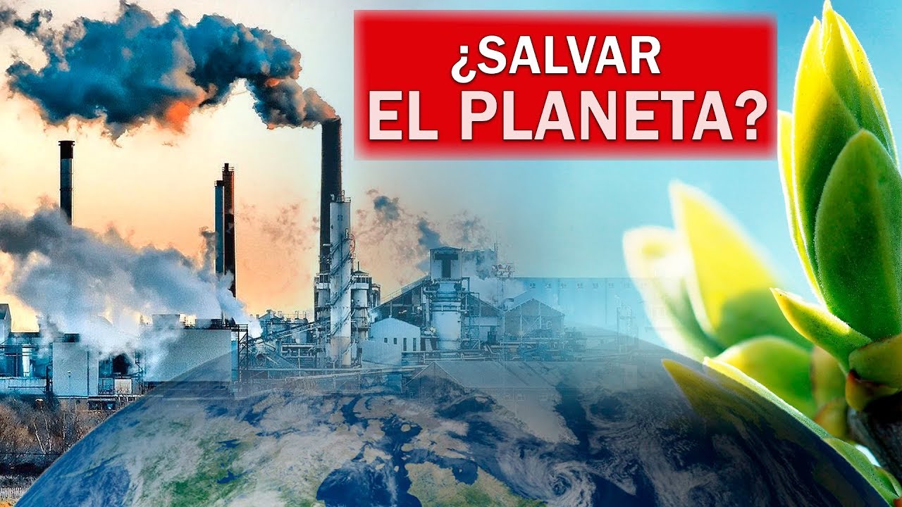 ¿Y si todos fuéramos vegetarianos?