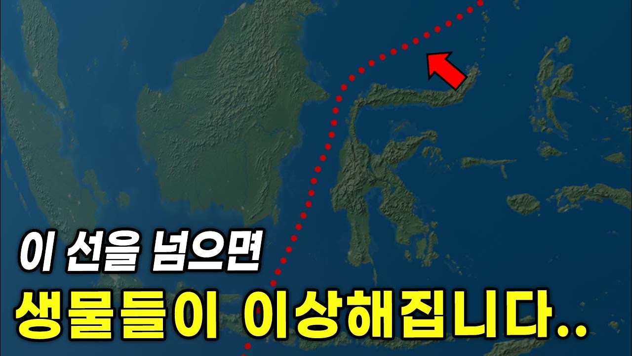 지도에서 이 선을 넘어가면 생물들이 변합니다 ㄷㄷ (진짜임..)