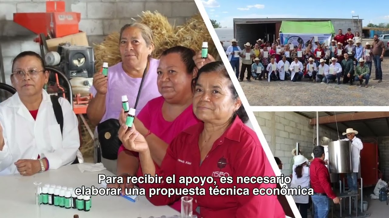 Transferencia de teconolog&iacute;a y conocimiento - Componente I