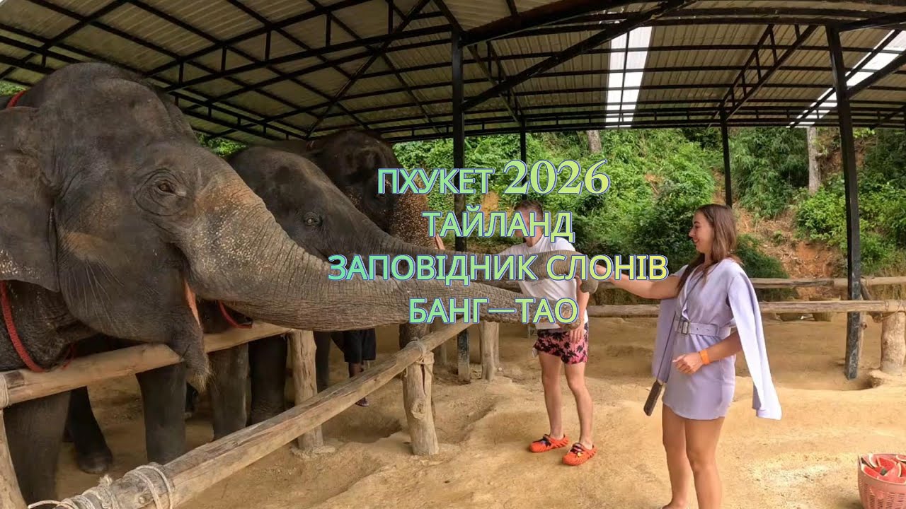 👉 Elephant Sanctuary Thailand | Phuket