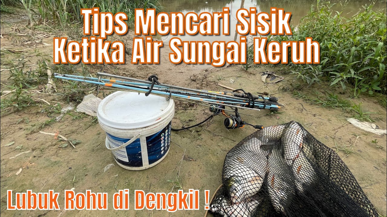 Banyak betul ikan rohu dalam lombong kat DENGKIL ni | Tips memancing di lombong.
