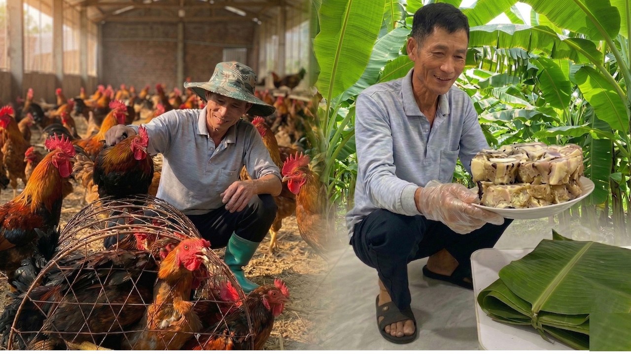 After Chicken Harvest, Dad Makes Traditional Tet Sausage | Farm Life